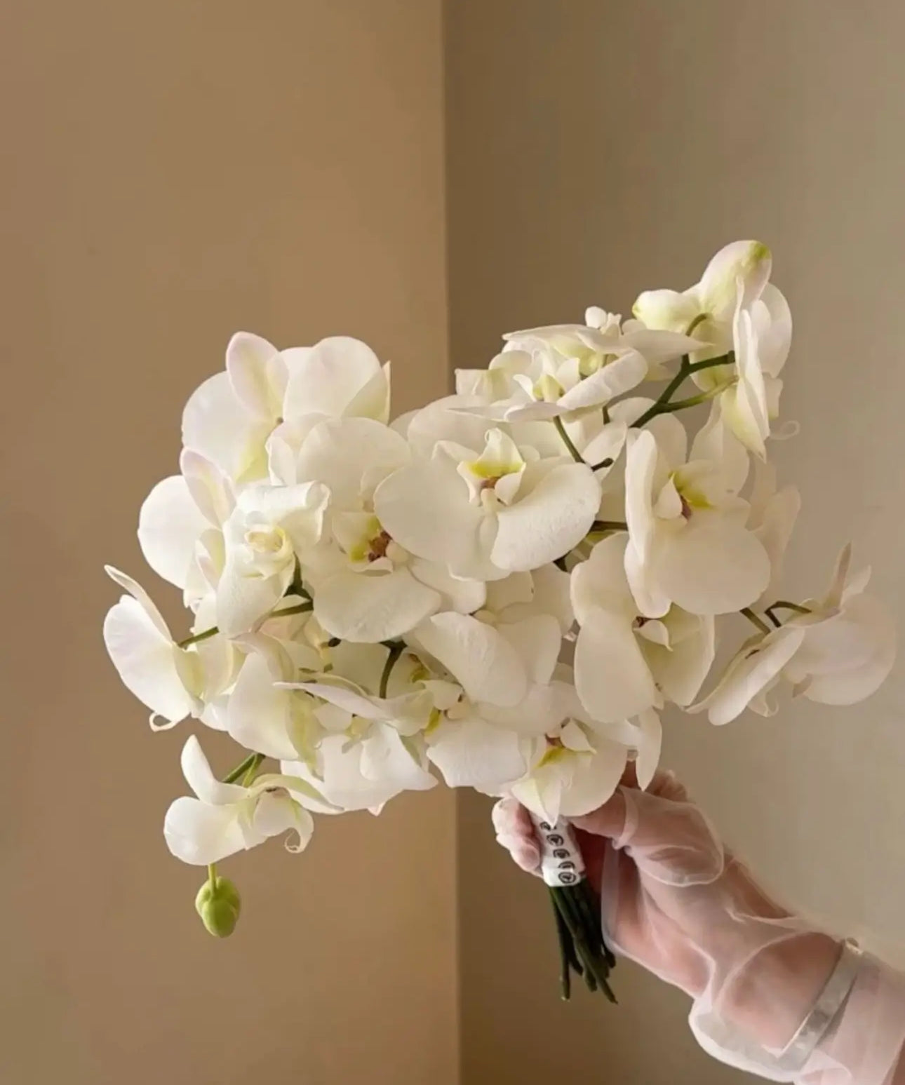Букет із орхідей - Freesia
