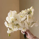 Букет із орхідей - Freesia