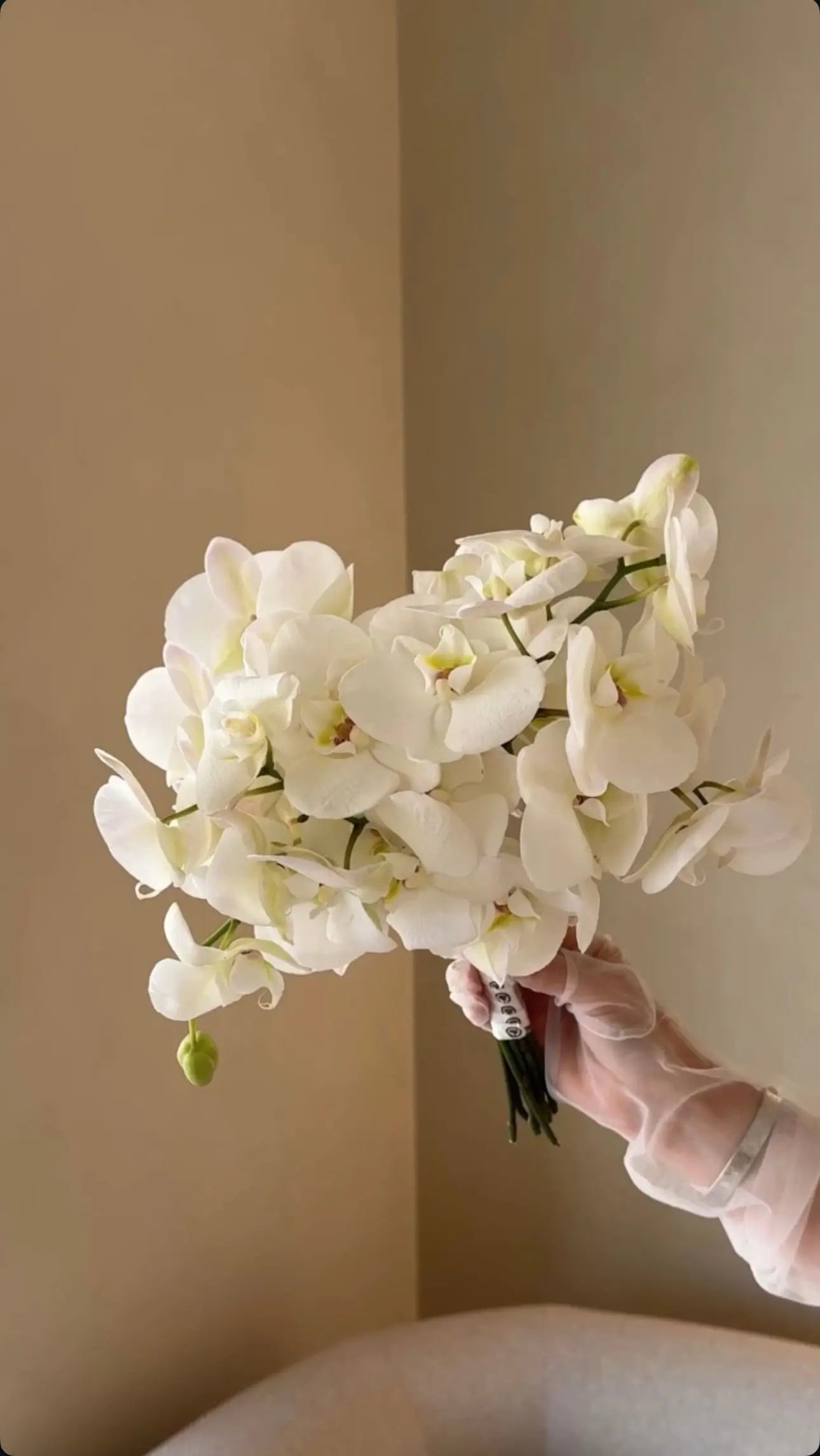 Букет із орхідей - Freesia