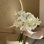 Букет із орхідей - Freesia