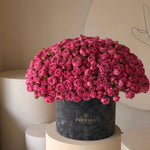 Піоновидна троянда у коробці - Freesia