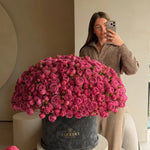 Піоновидна троянда у коробці - Freesia